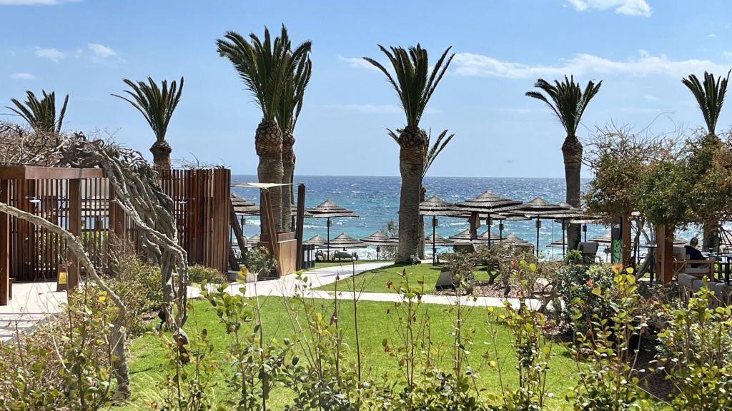 The gardens of the Alion Beach Hotel with palm trees and a view of the sea