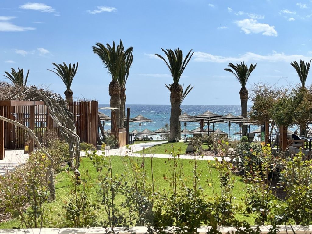 Garten des Alion Beach Hotel mit Palmen und Blick auf das Meer
