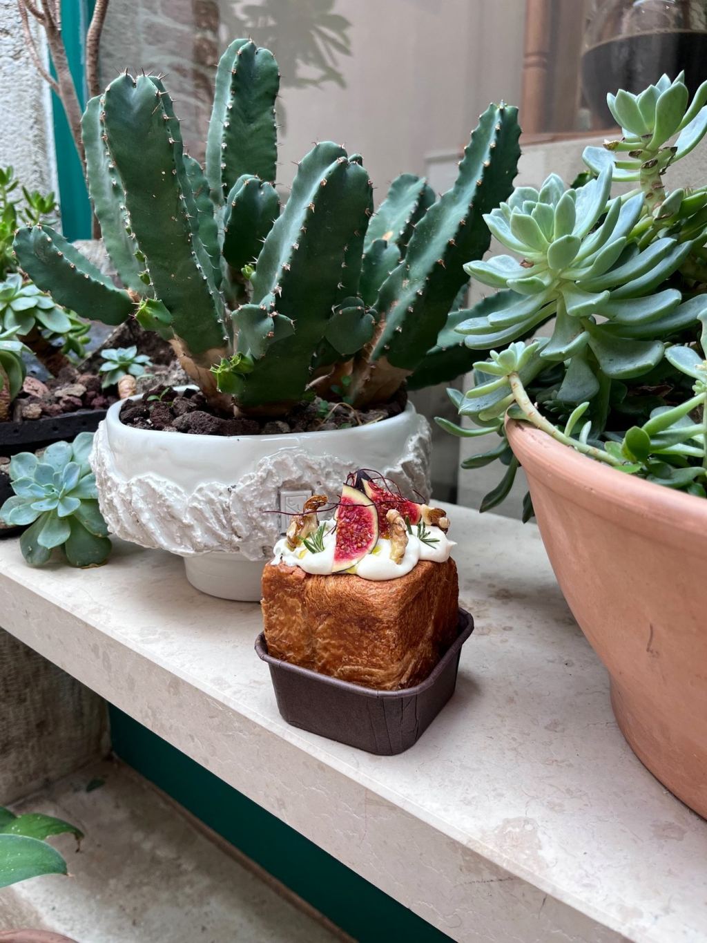 Cube croissant topped with cream and fig among cacti and succulents